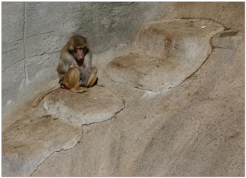 _MG_0702 Kopie_klein _int.jpg